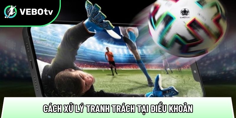 cach xu ly tranh trach tai quy dinh dieu khoan tai trang xem bong da